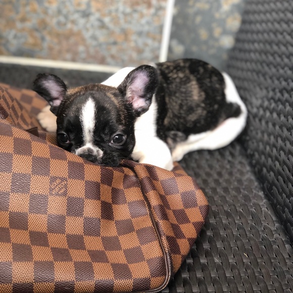 Meet Your Posher - Picture 3 of 4